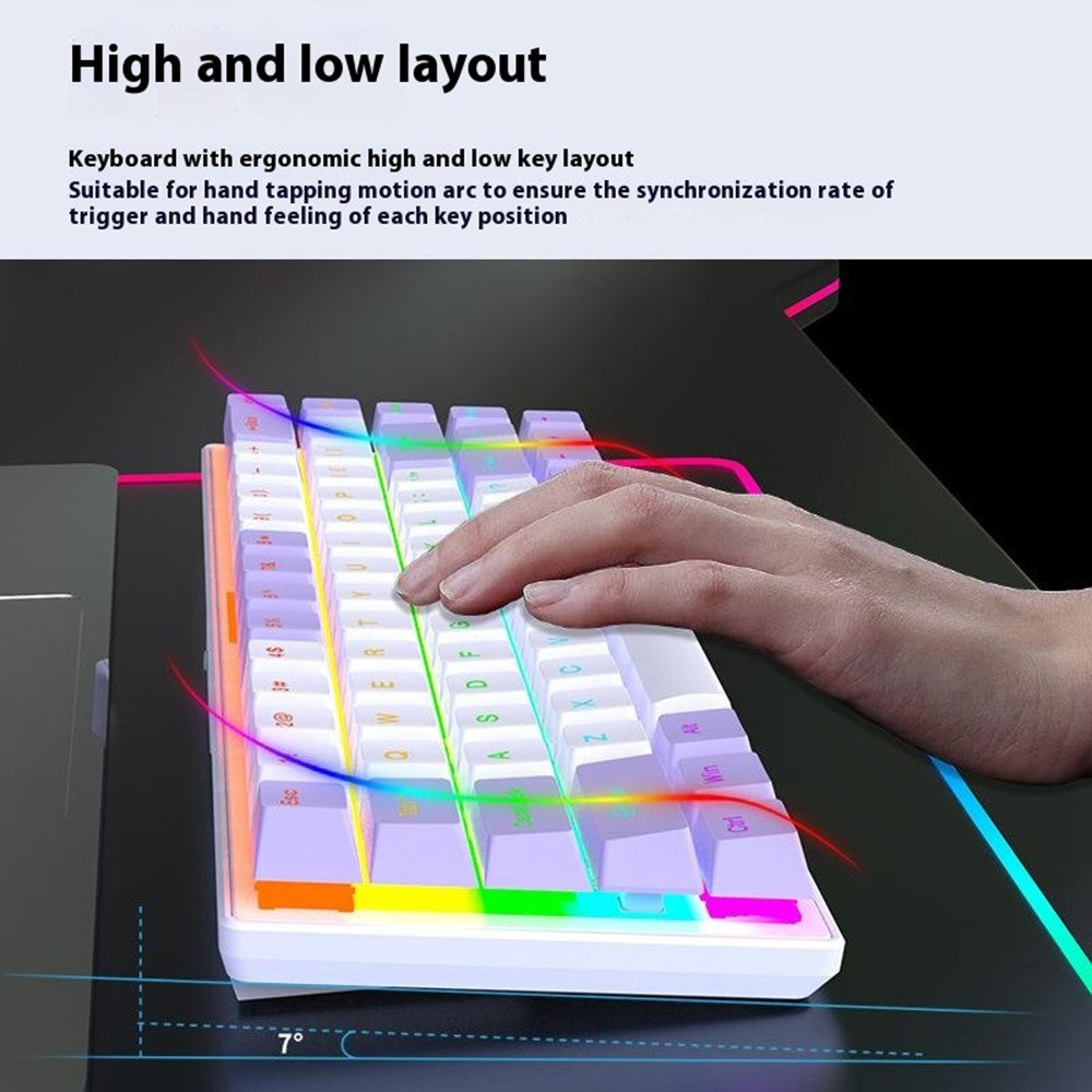 Y-FRUITFUL K68 Color Splicing Wired Keyboard 68-Key RGB Backlit Computer Office Gaming Keyboard