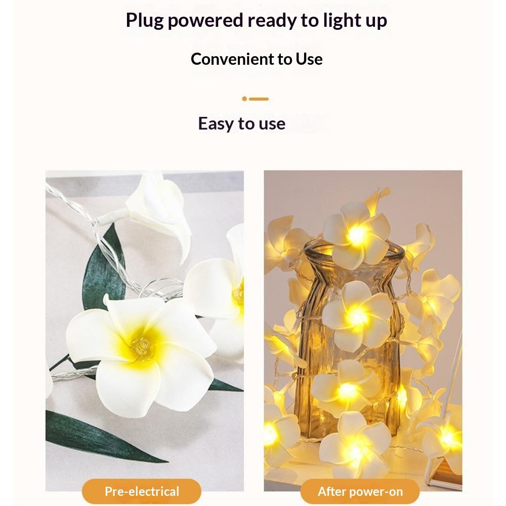 3m 20 Warm White Plumeria LED Flower String Lights USB Powered Fairy String Lights for Room Decoration Indoor Outdoor