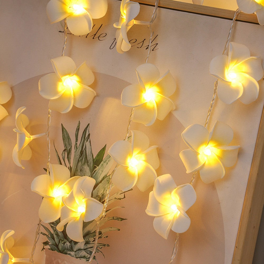 6m 40 Warm White Plumeria LED Flower String Lights USB Powered Fairy String Lights for Room Decoration Indoor Outdoor