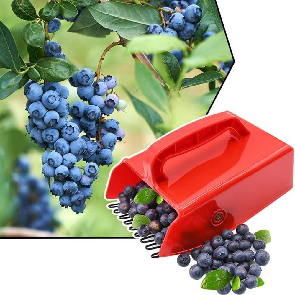 Berry Picker Blueberry Lingonberry Scoop Metal Comb Ergonomic Handle Design Berry Picking Rake Tool (BPA Free, No FDA Certificate)