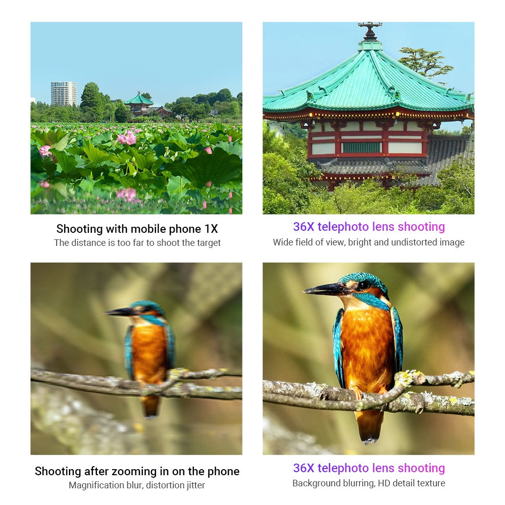 APEXEL APL-36XCR50 Aluminum Alloy 36X Telephoto Lens Phone Camera for Bird Watching Hiking