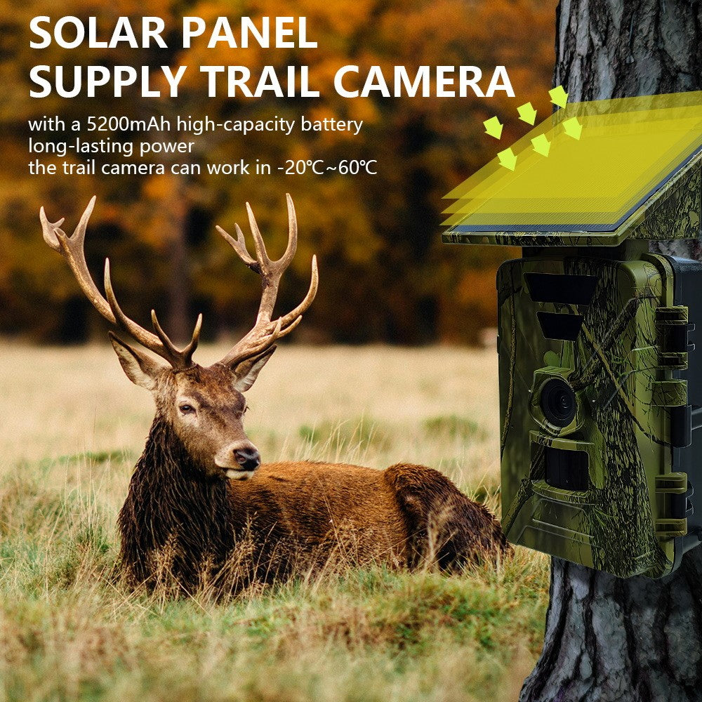 PR903W Solar Trail Camera, 8K 60MP WiFi APP Hunting Camera IR Night Vision Trail Cam IP66 Waterproof for Wildlife Monitoring