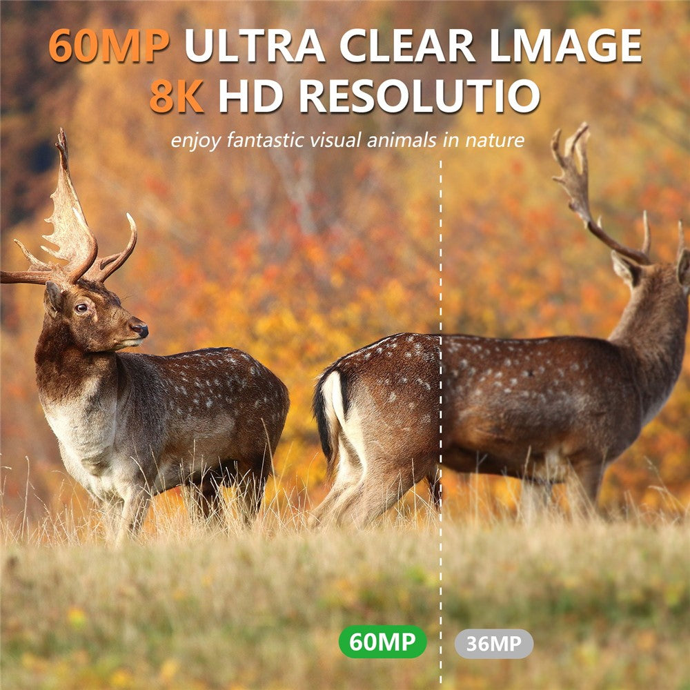 PR903W Solar Trail Camera, 8K 60MP WiFi APP Hunting Camera IR Night Vision Trail Cam IP66 Waterproof for Wildlife Monitoring