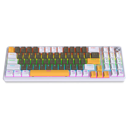 Y-FRUITFUL K78 Mechanical Keyboard 78 Keys RGB Backlit Wired Gaming Office Computer Keyboard