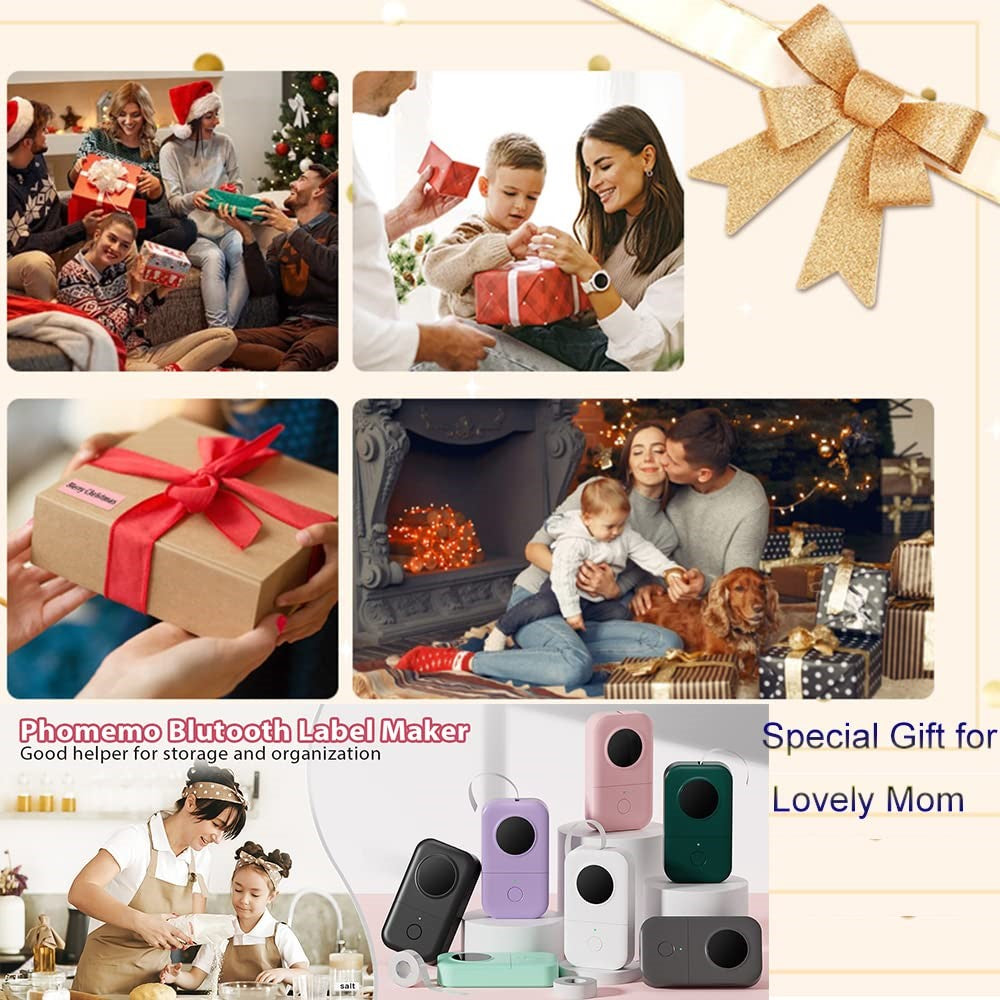PHOMEMO D30 Portable Inkless Wireless Label Maker Mini Thermal Label Printer for Home School Office