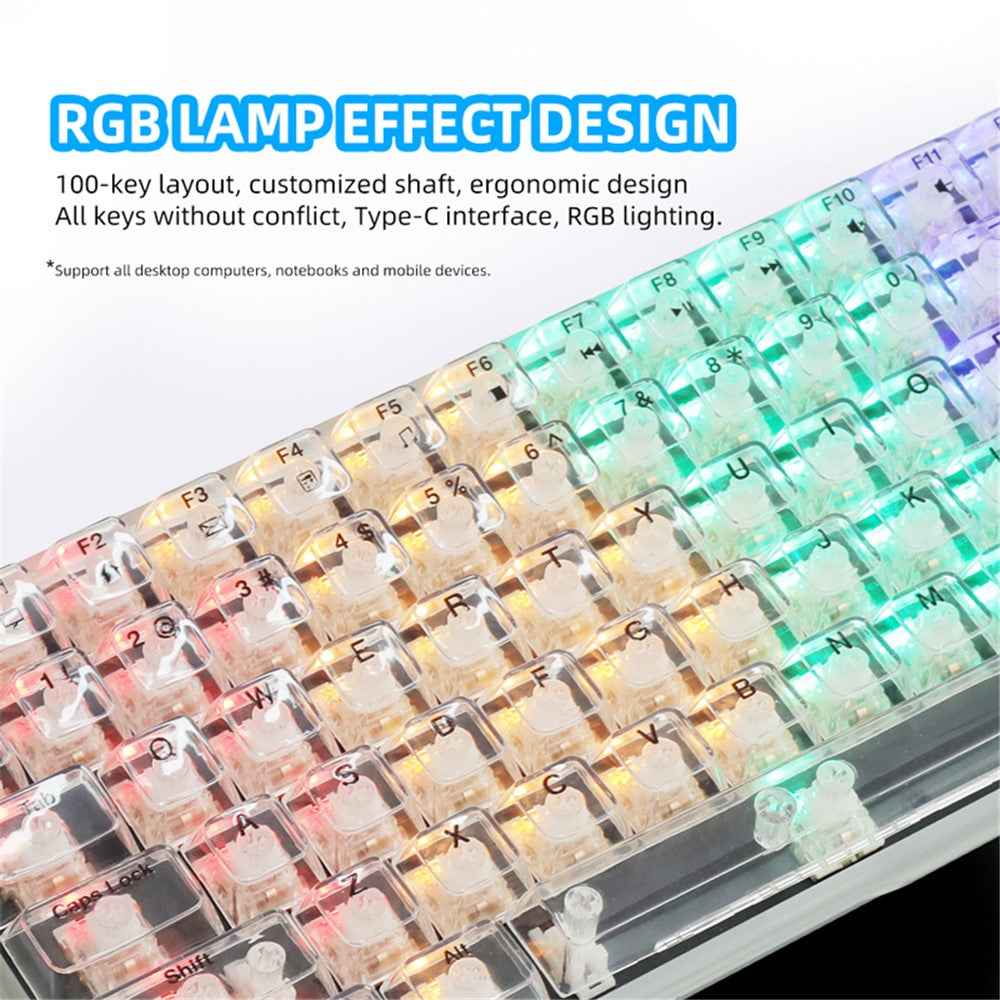 Y-FRUITFUL K10 Mechanical Gaming Keyboard 100 Keys Type-C Wired Clear Keyboard with RGB Light