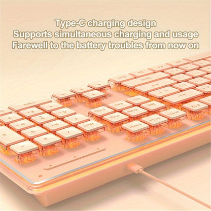EWEADN V3 Home Office Computer Laptop Mute Keyboard USB Wired Backlit Keyboard