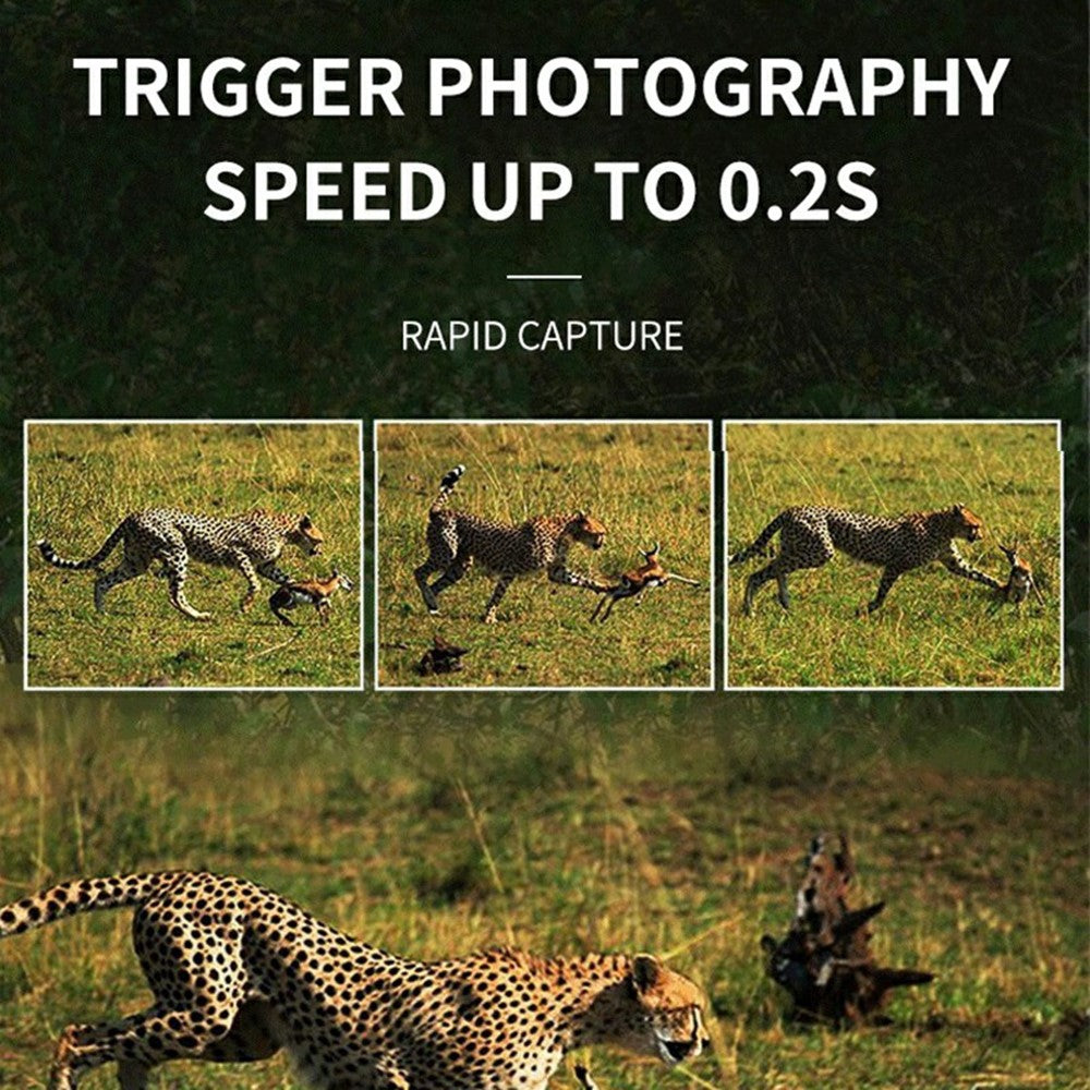 DL005 Outdoor Night Vision Wildlife Monitoring Hunting Camera 1080P HD PRI Infrared Trail Camera