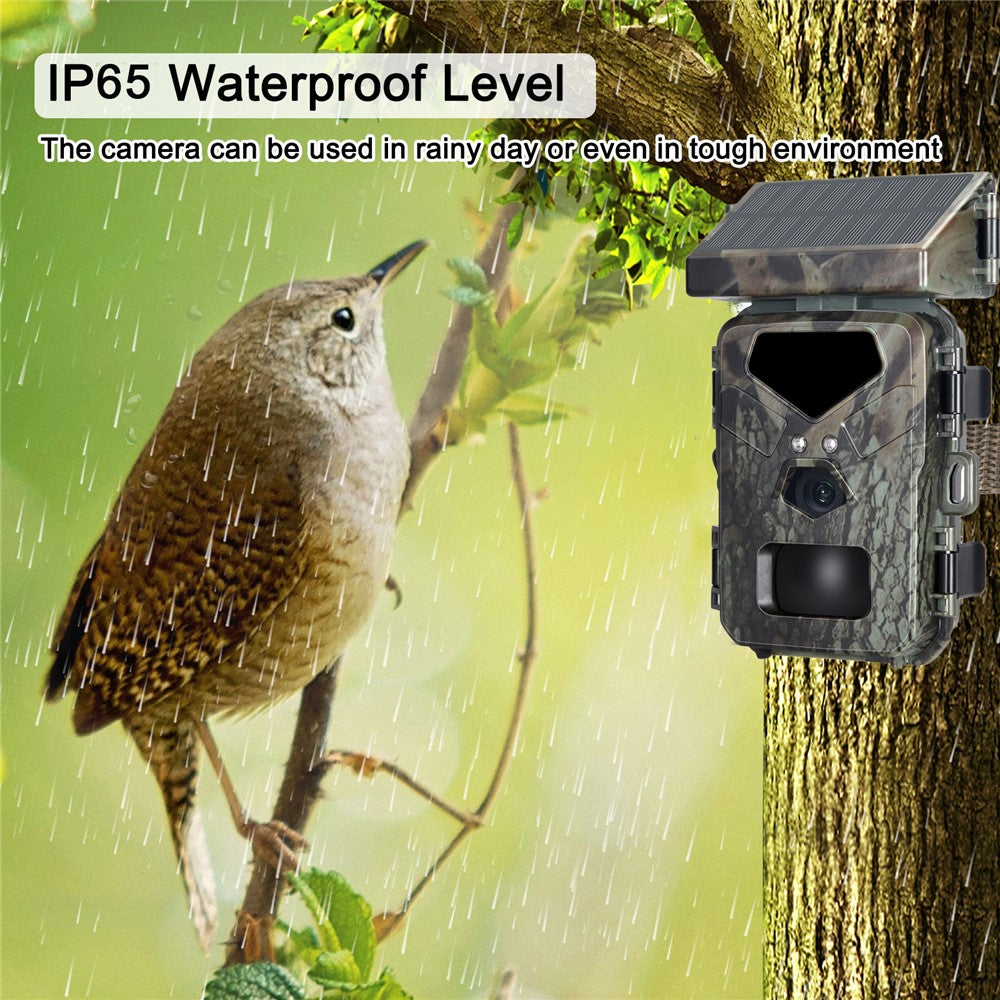 Mini700 Infrared Camera 20MP / 1080P Hunting Tracking Camera Outdoor Wildlife Animal Tracking Camera