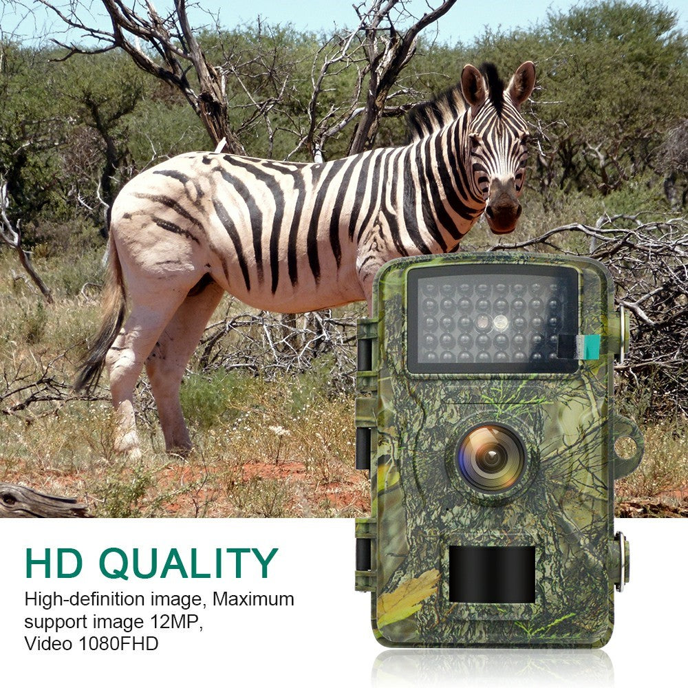 DL001 Hunting Trail Camera IP66 Waterproof Infrared Night Vision Camera for Orchard Farm Monitoring