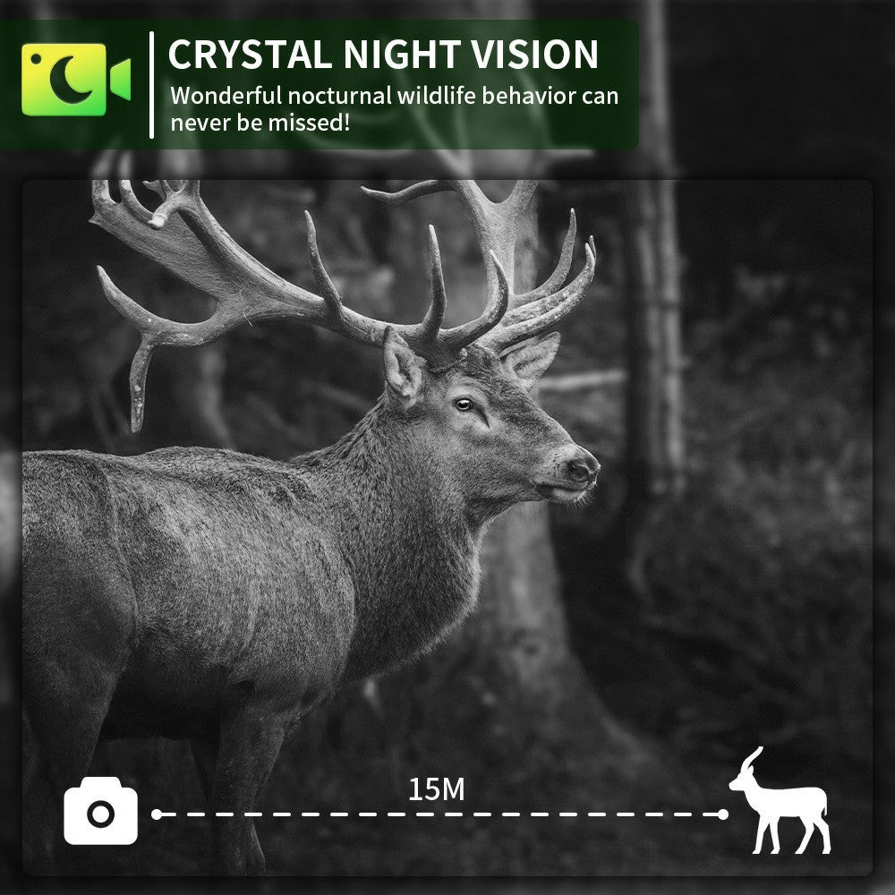 PR802LTE 4G LTE Trail Camera 60MP 4K Night Vision IP66 Waterproof Hunting Camera for Wildlife Scouting