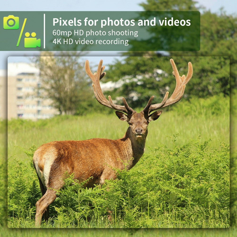 PR802LTE 4G LTE Trail Camera 60MP 4K Night Vision IP66 Waterproof Hunting Camera for Wildlife Scouting