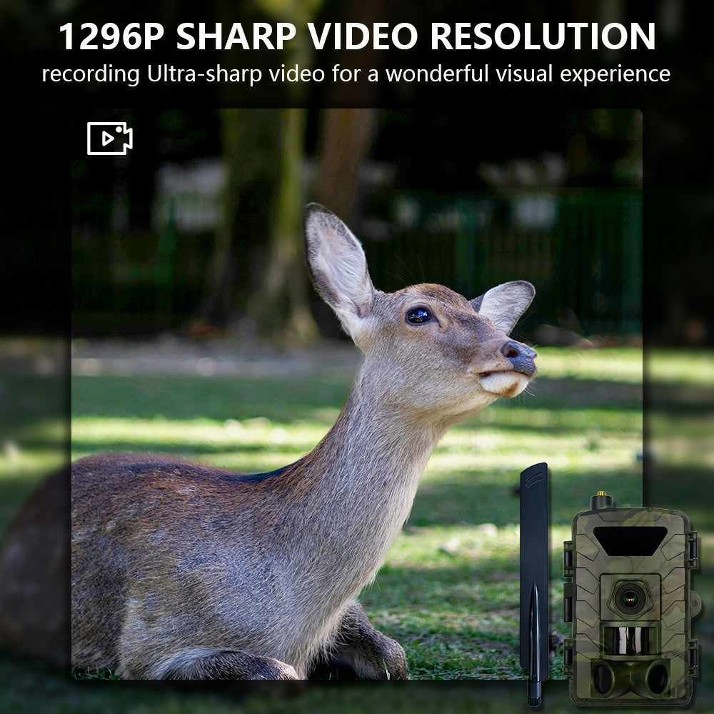 PR803LTE 4G Trail Camera 60MP 1296P HD Night Vision Hunting Camera with App Remote Monitoring for Wildlife Scouting
