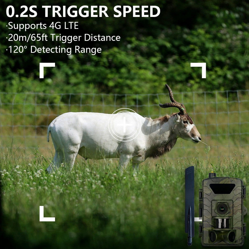 PR803LTE 4G Trail Camera 60MP 1296P HD Night Vision Hunting Camera with App Remote Monitoring for Wildlife Scouting