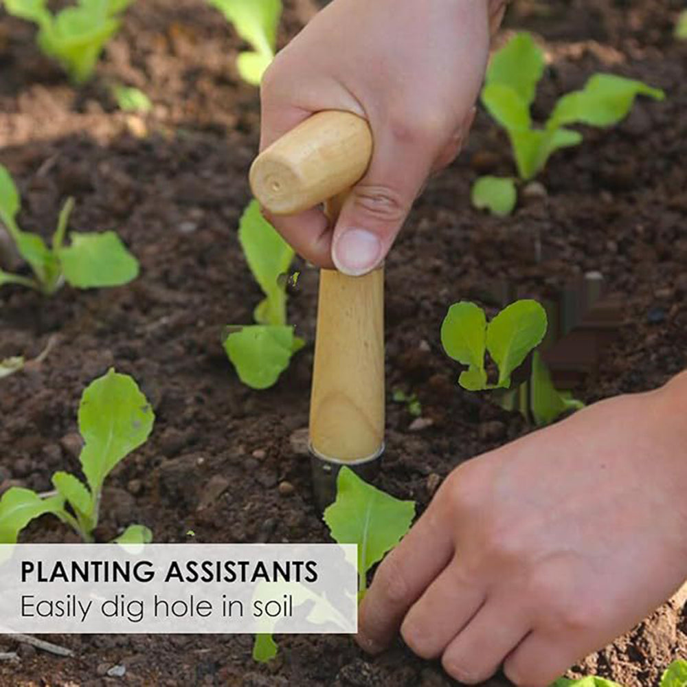 Garden Seed Planter with Handle Transplant Tool Seedling Dibber Hole Maker for Vegetables Planting