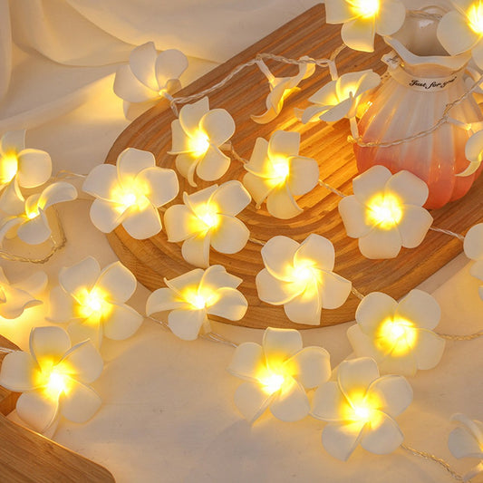 3m 20 Warm White Plumeria LED Flower String Lights USB Powered Fairy String Lights for Room Decoration Indoor Outdoor