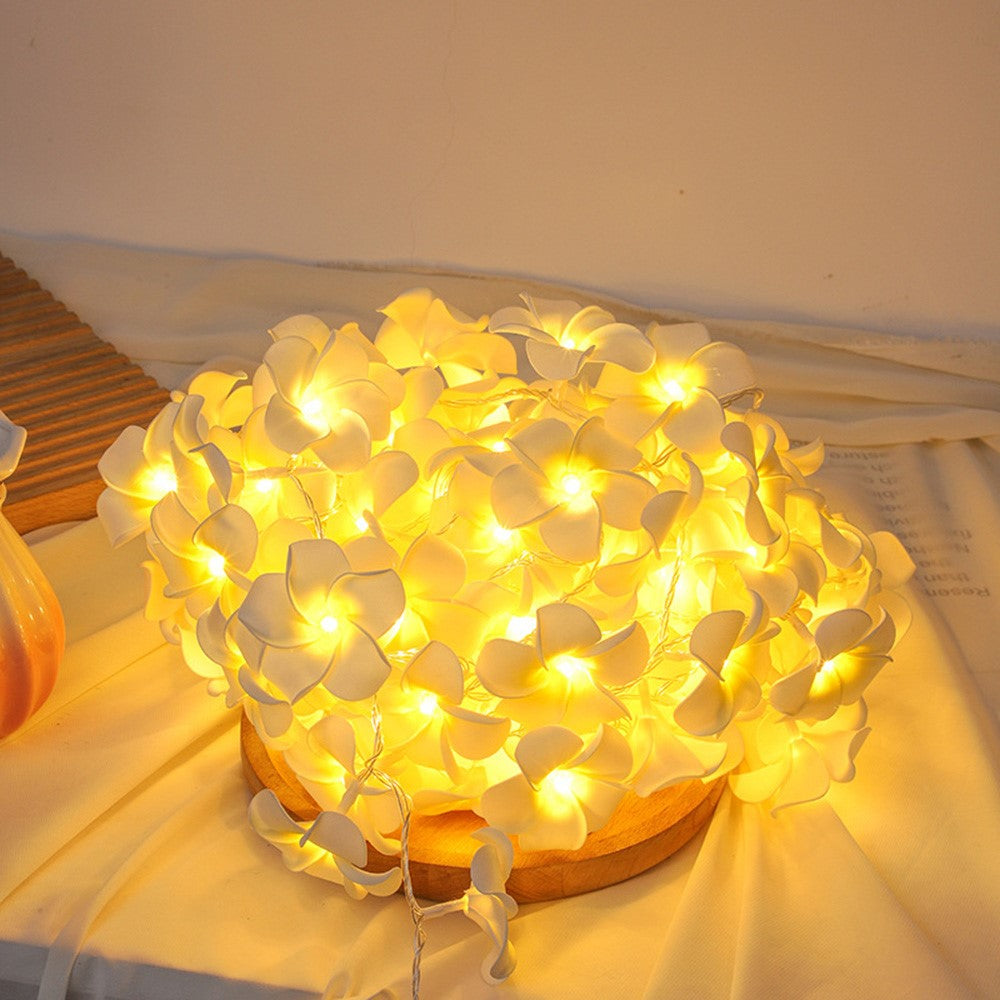 3m 20 Warm White Plumeria LED Flower String Lights USB Powered Fairy String Lights for Room Decoration Indoor Outdoor