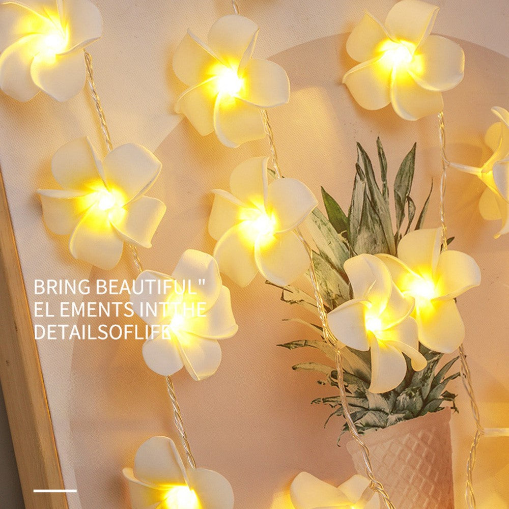 3m 20 Warm White Plumeria LED Flower String Lights USB Powered Fairy String Lights for Room Decoration Indoor Outdoor