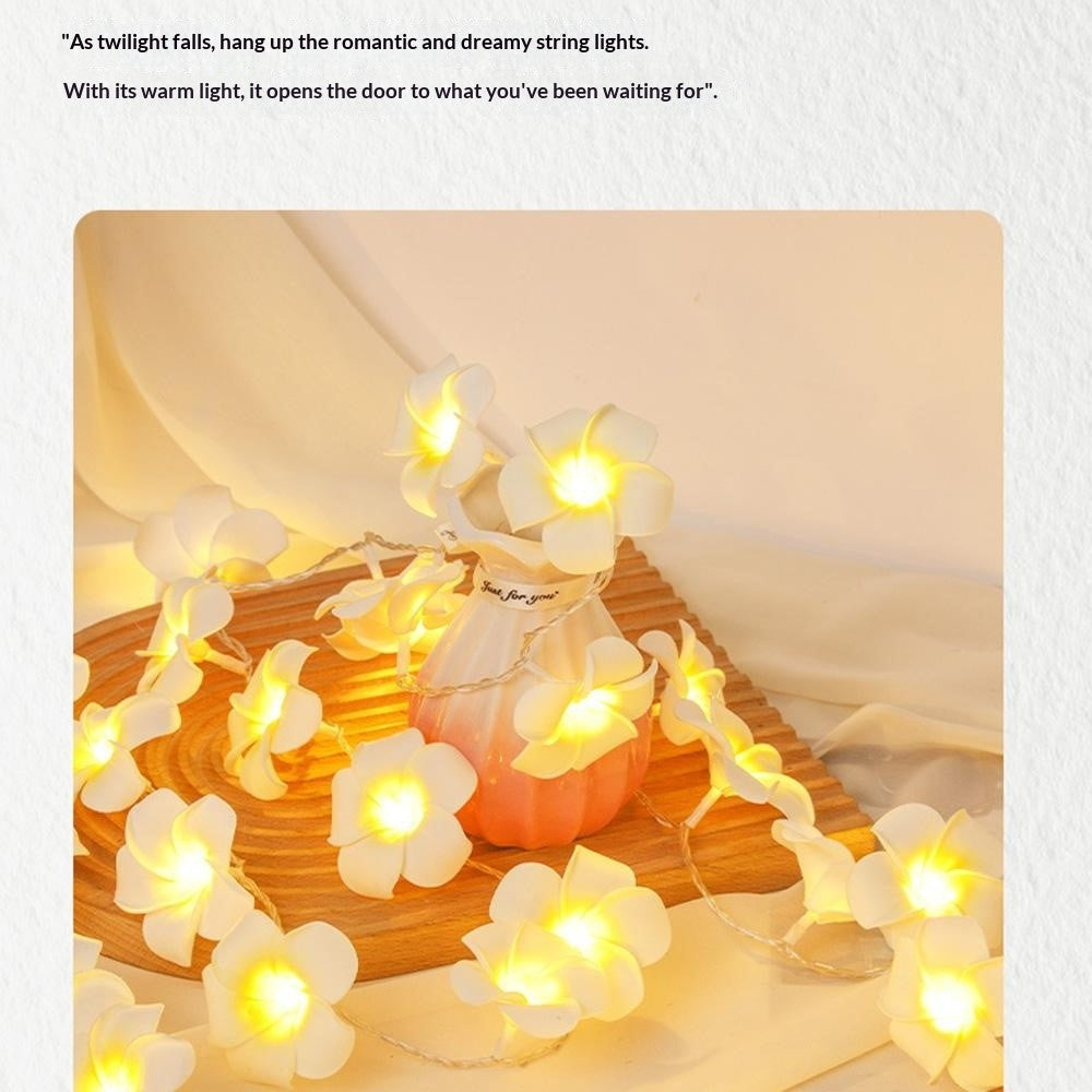 3m 20 Warm White Plumeria LED Flower String Lights USB Powered Fairy String Lights for Room Decoration Indoor Outdoor