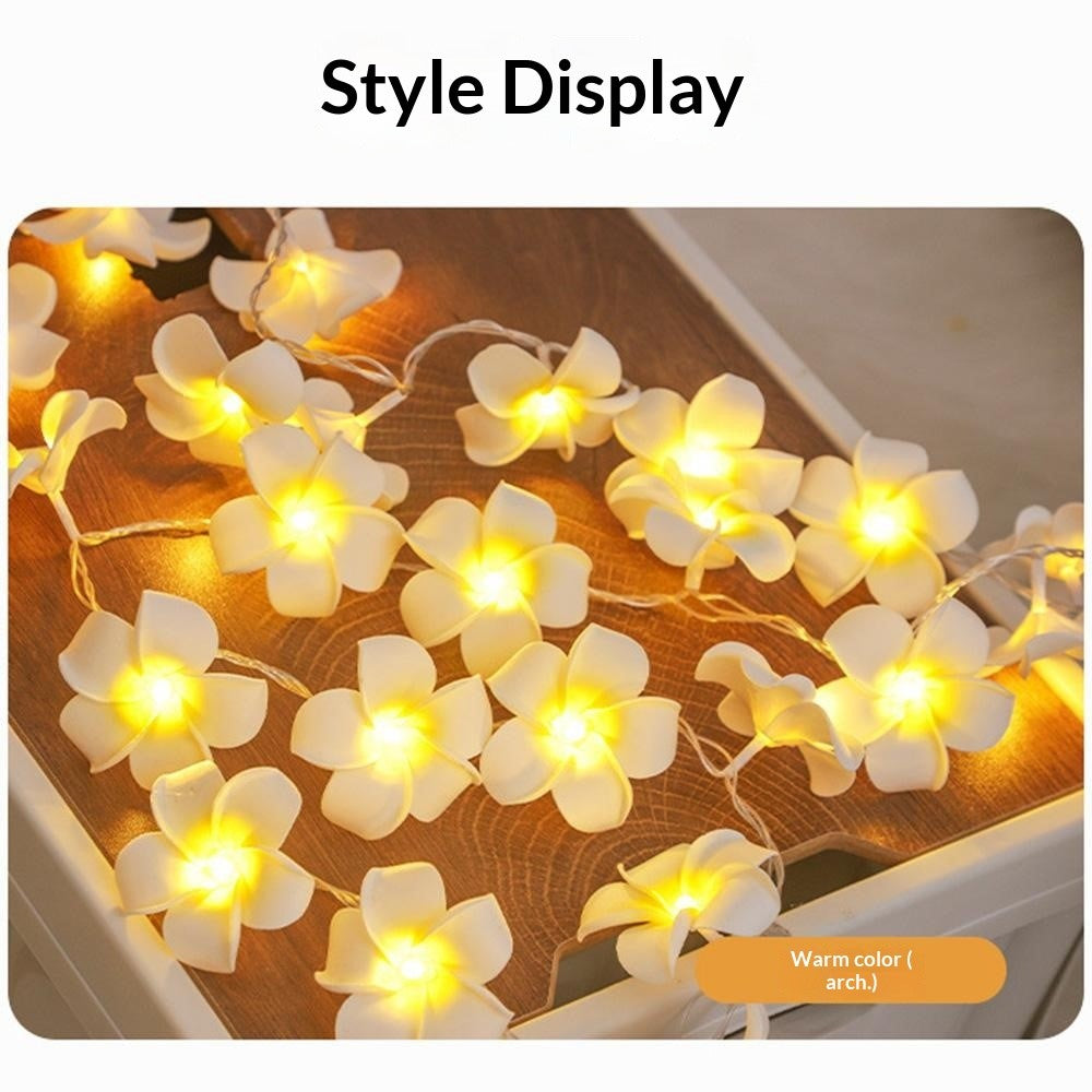3m 20 Warm White Plumeria LED Flower String Lights USB Powered Fairy String Lights for Room Decoration Indoor Outdoor