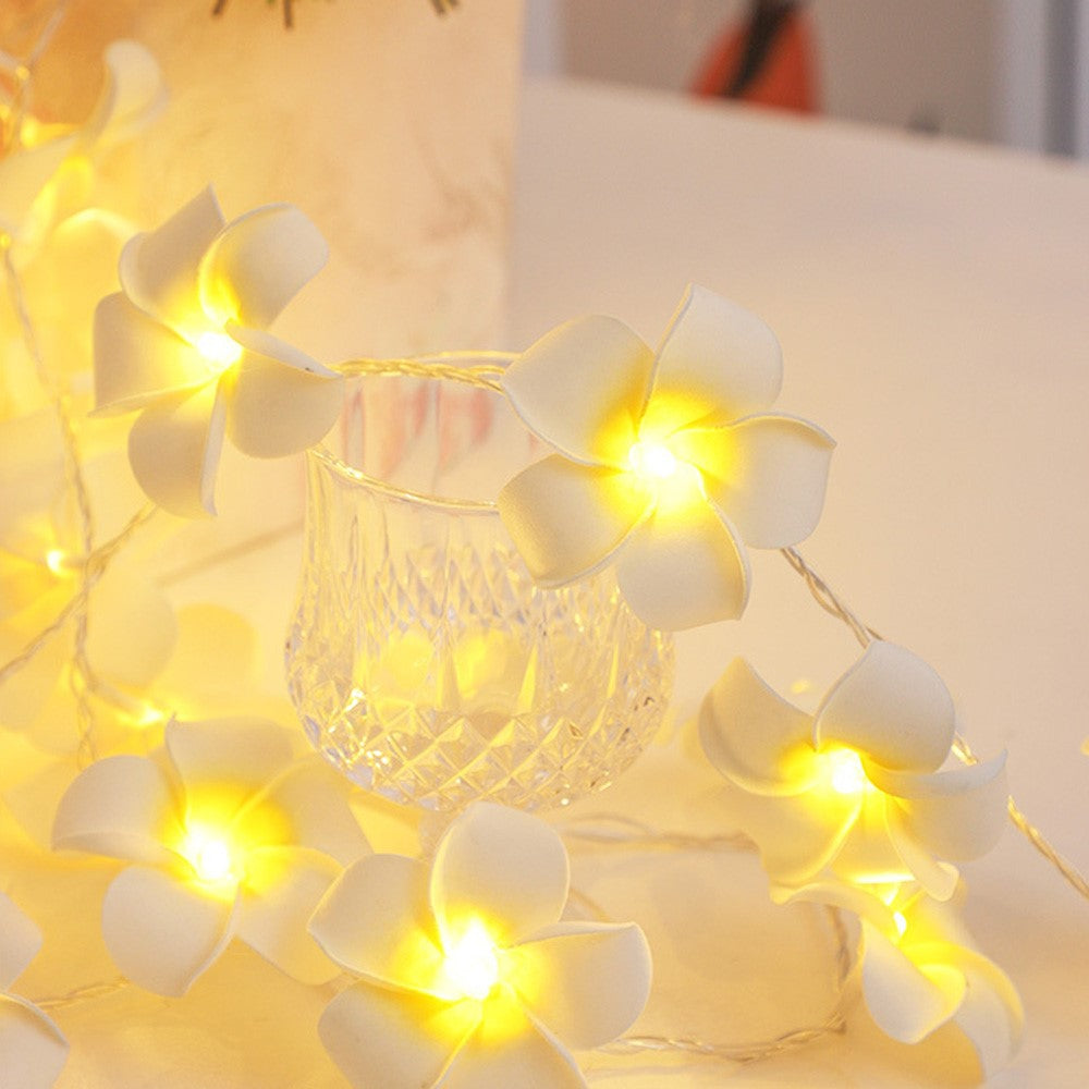 3m 20 Warm White Plumeria LED Flower String Lights USB Powered Fairy String Lights for Room Decoration Indoor Outdoor