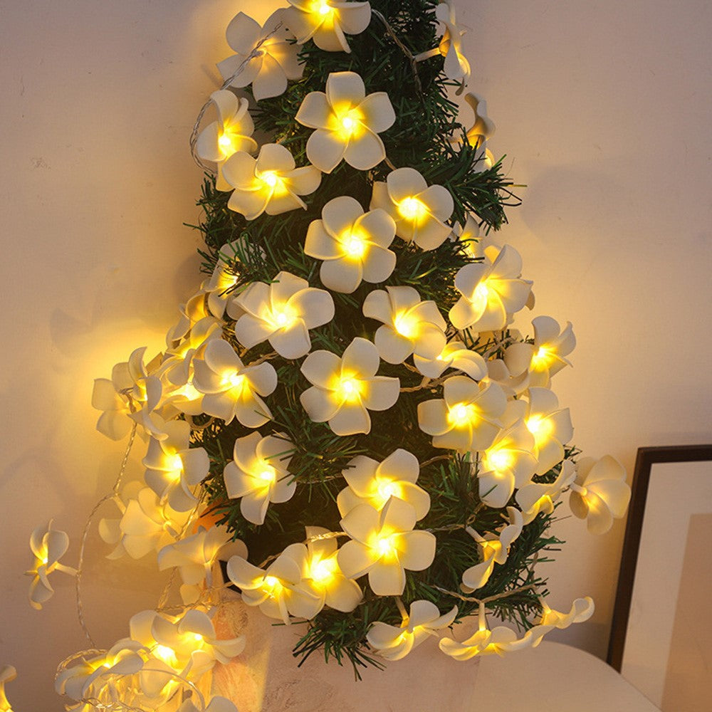 3m 20 Warm White Plumeria LED Flower String Lights USB Powered Fairy String Lights for Room Decoration Indoor Outdoor