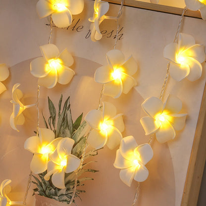 3m 20 Warm White Plumeria LED Flower String Lights USB Powered Fairy String Lights for Room Decoration Indoor Outdoor