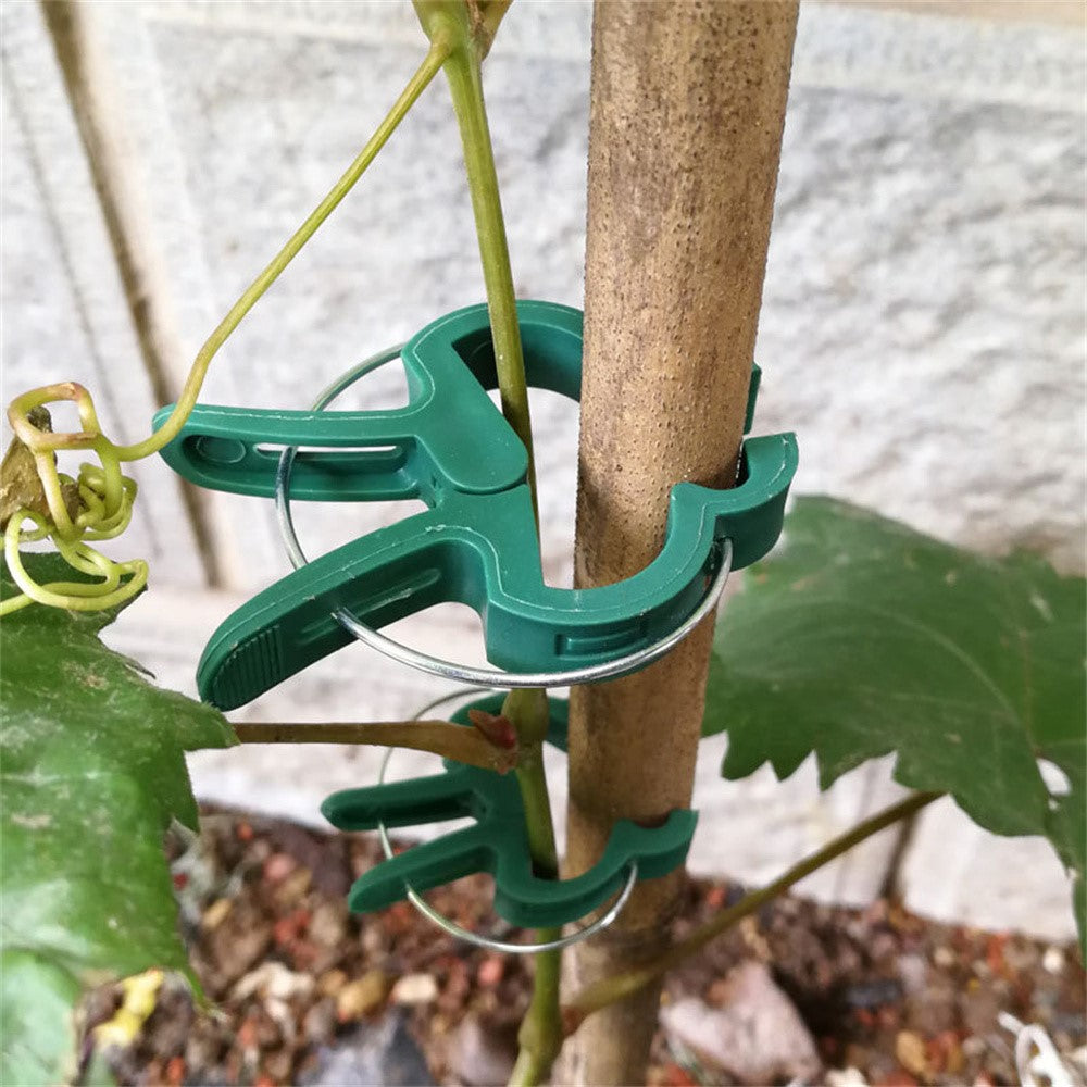 10Pcs Large + 10Pcs Small Garden Plant Support Clips Tomatoes Flowers Plastic Fixing Clamps