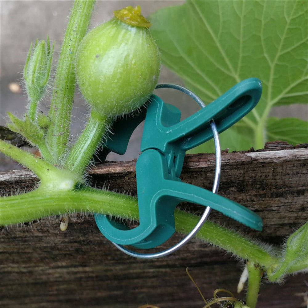 10Pcs Large + 10Pcs Small Garden Plant Support Clips Tomatoes Flowers Plastic Fixing Clamps