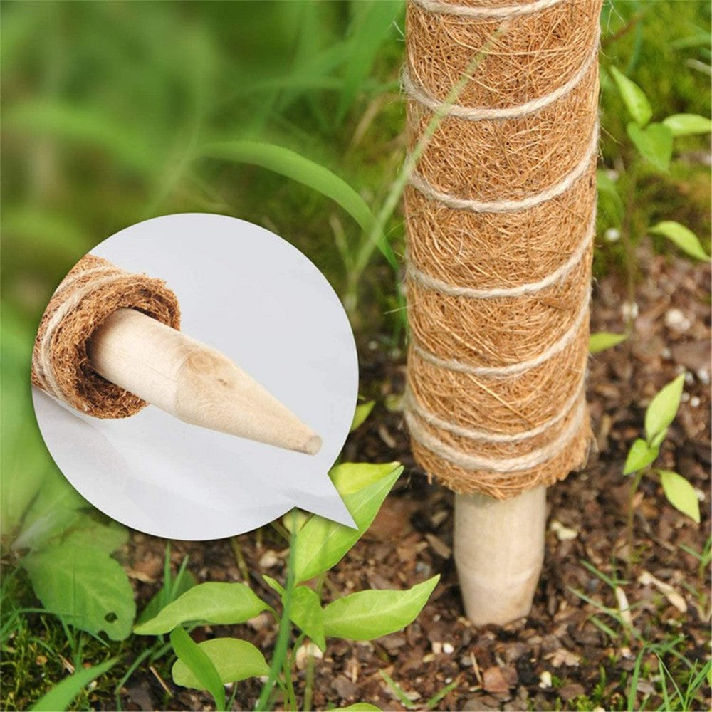4Pcs 30cm Plant Climbing Rod Vine Climbing Coconut Palm Rod Plant Support Stick with Tools