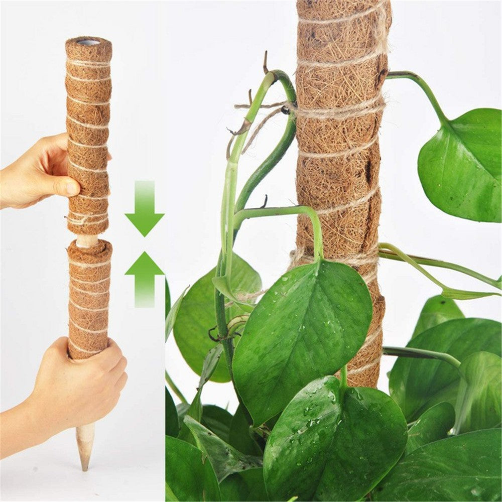 4Pcs 40cm Vine Climbing Coconut Palm Rod Plant Climbing Rod Plant Support Stick with Tools