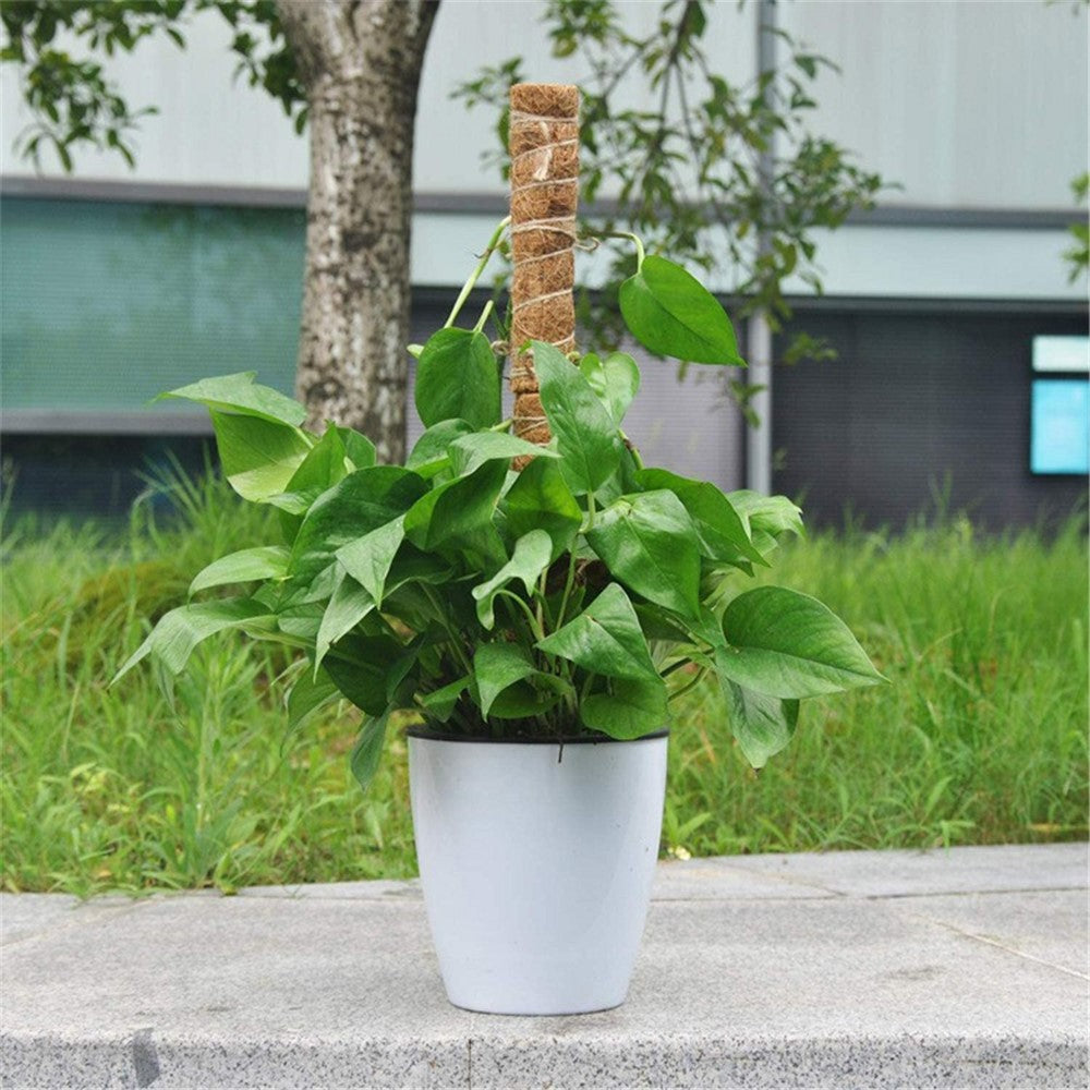 4Pcs 40cm Vine Climbing Coconut Palm Rod Plant Climbing Rod Plant Support Stick with Tools