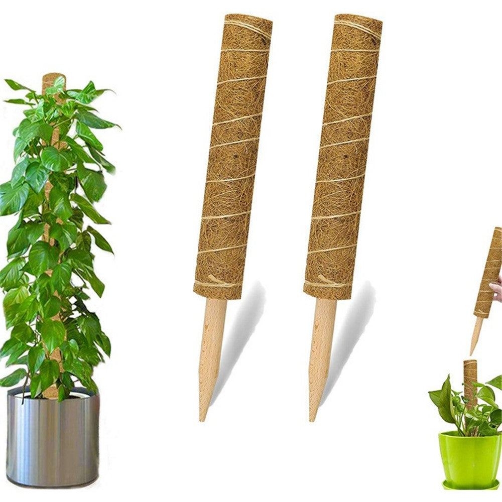 4Pcs 40cm Vine Climbing Coconut Palm Rod Plant Climbing Rod Plant Support Stick with Tools