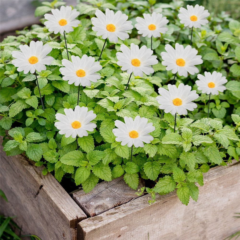 G329 10Pcs / Set Simulated Daisy Shape Garden Stake Outdoor Courtyard Patio Lawn Decoration