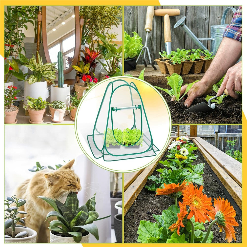 Foldable Portable Mini Greenhouse for Succulents and Flowers Home Garden Balcony Patio Warm Cover with Roll-Up Window