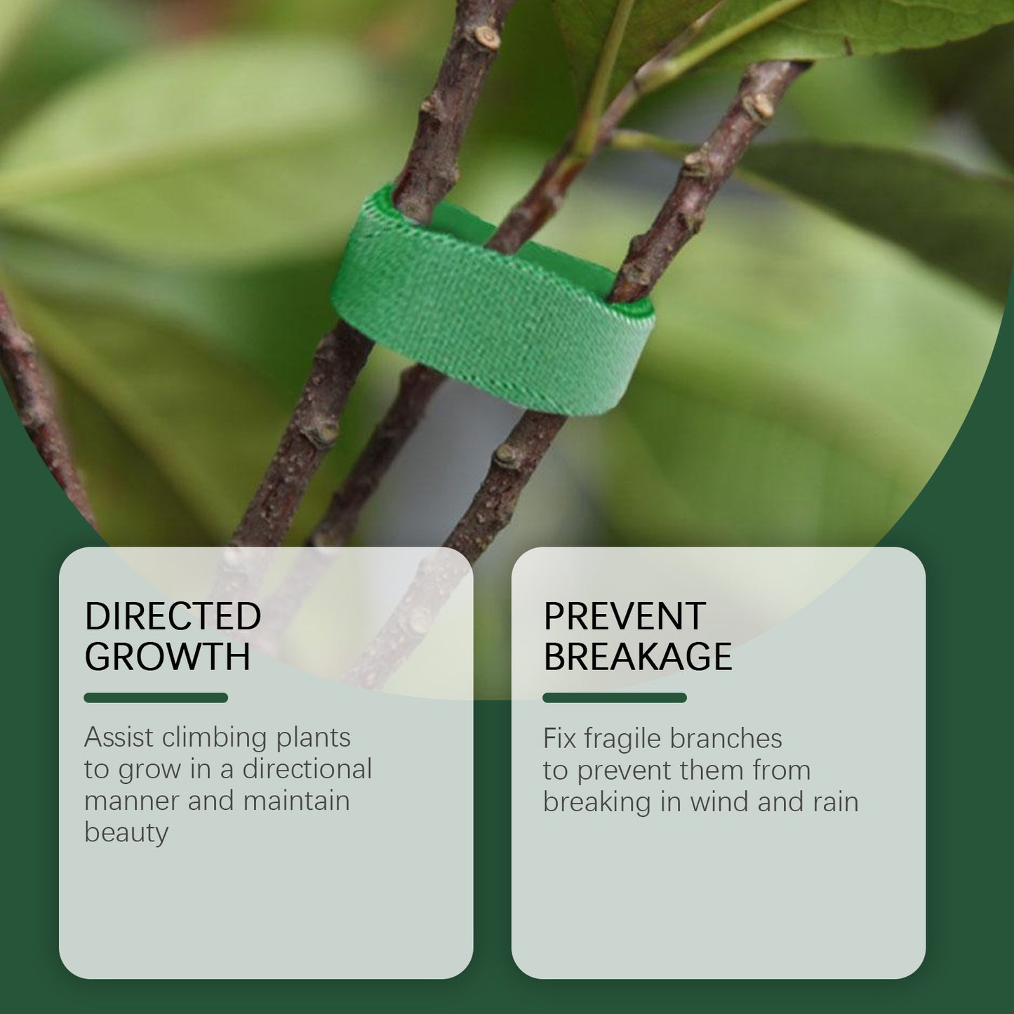 MOONSPRY 30Pcs Plant Ties Magic Tape Adjustable Garden Straps for Indoor Outdoor Plant Support