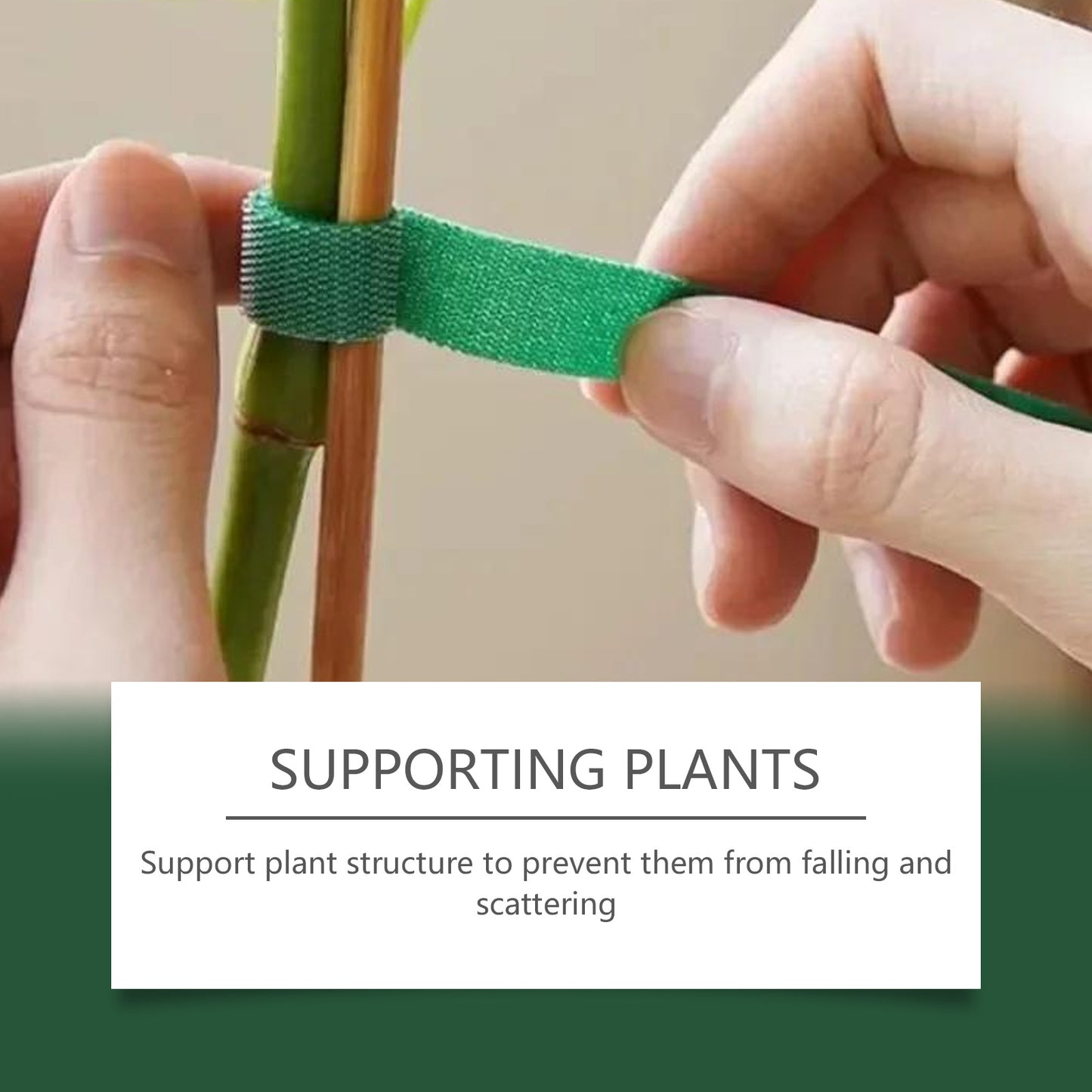 MOONSPRY 30Pcs Plant Ties Magic Tape Adjustable Garden Straps for Indoor Outdoor Plant Support