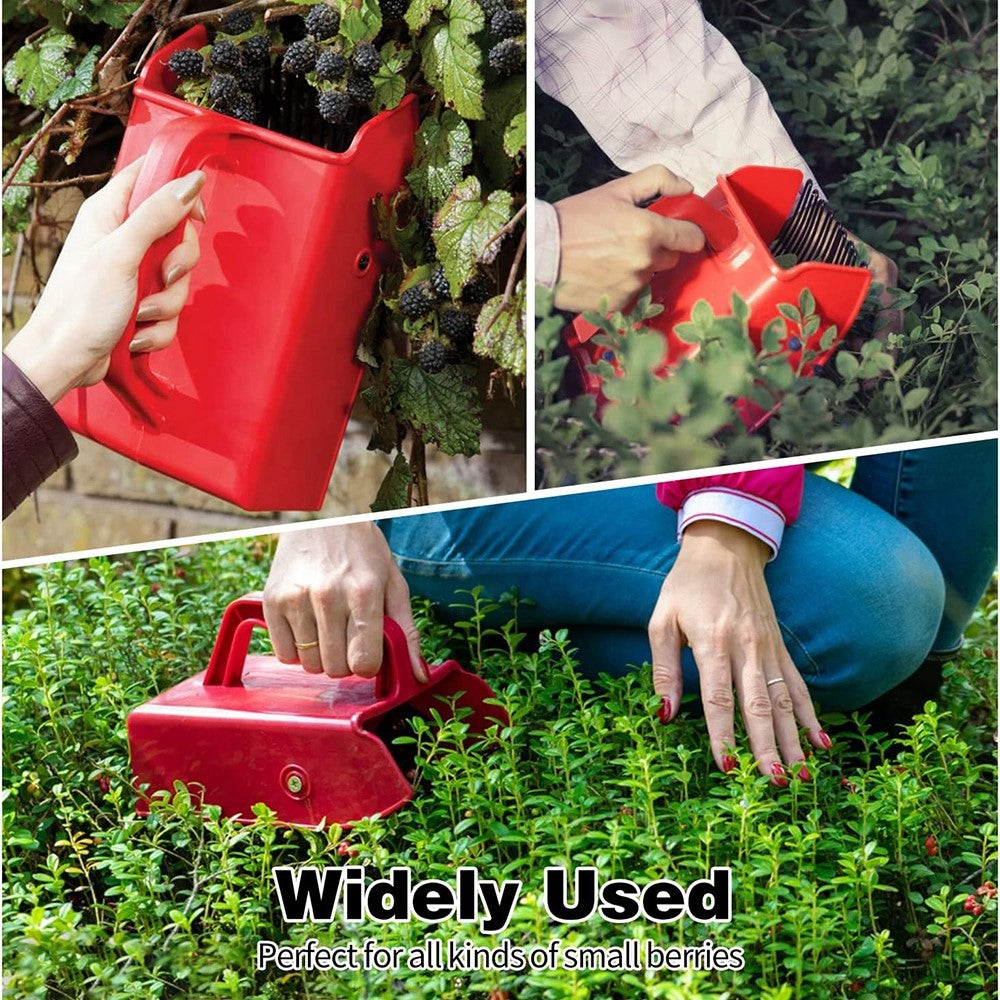 Berry Picker Blueberry Lingonberry Scoop Metal Comb Ergonomic Handle Design Berry Picking Rake Tool (BPA Free, No FDA Certificate)