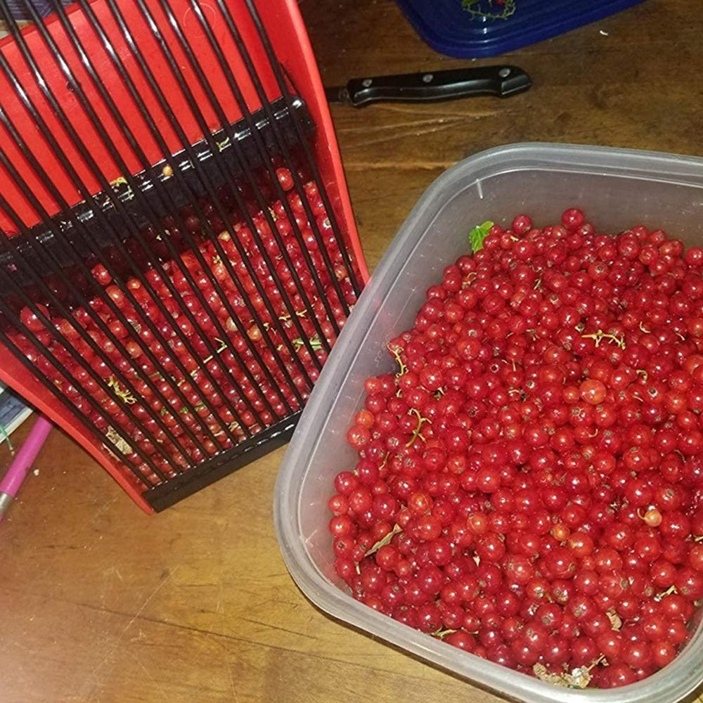 Berry Picker Blueberry Lingonberry Scoop Metal Comb Ergonomic Handle Design Berry Picking Rake Tool (BPA Free, No FDA Certificate)