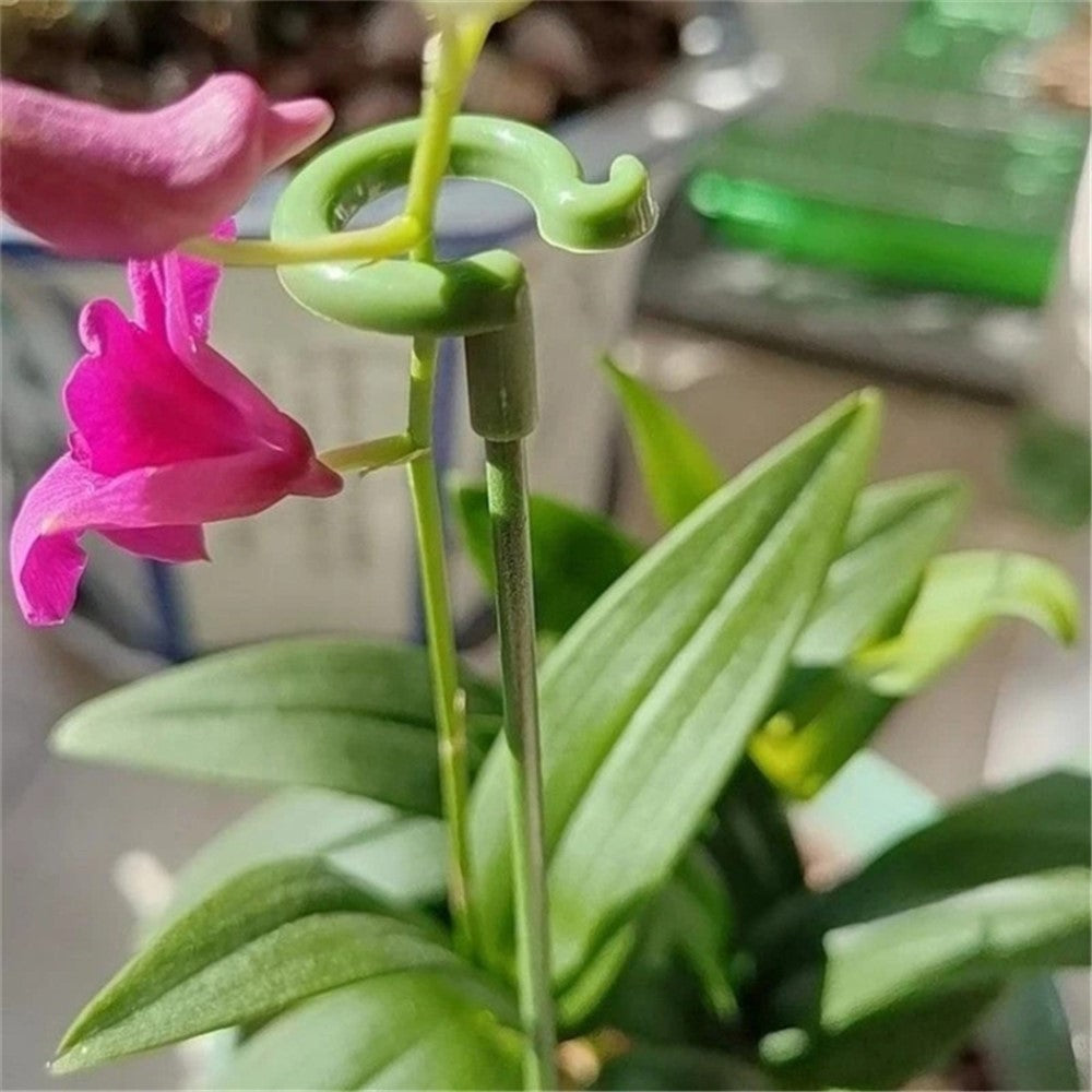 10PCS 27CM Fiberglass Plant Stake Garden Single Stem Support Stake Plant Cage Ring for Orchid Rose Tomato