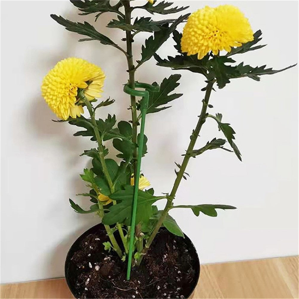 10PCS 37CM Indoors Plant Cage Ring Orchid Rose Tomato Fiberglass Stake Garden Single Stem Support Ring Stick
