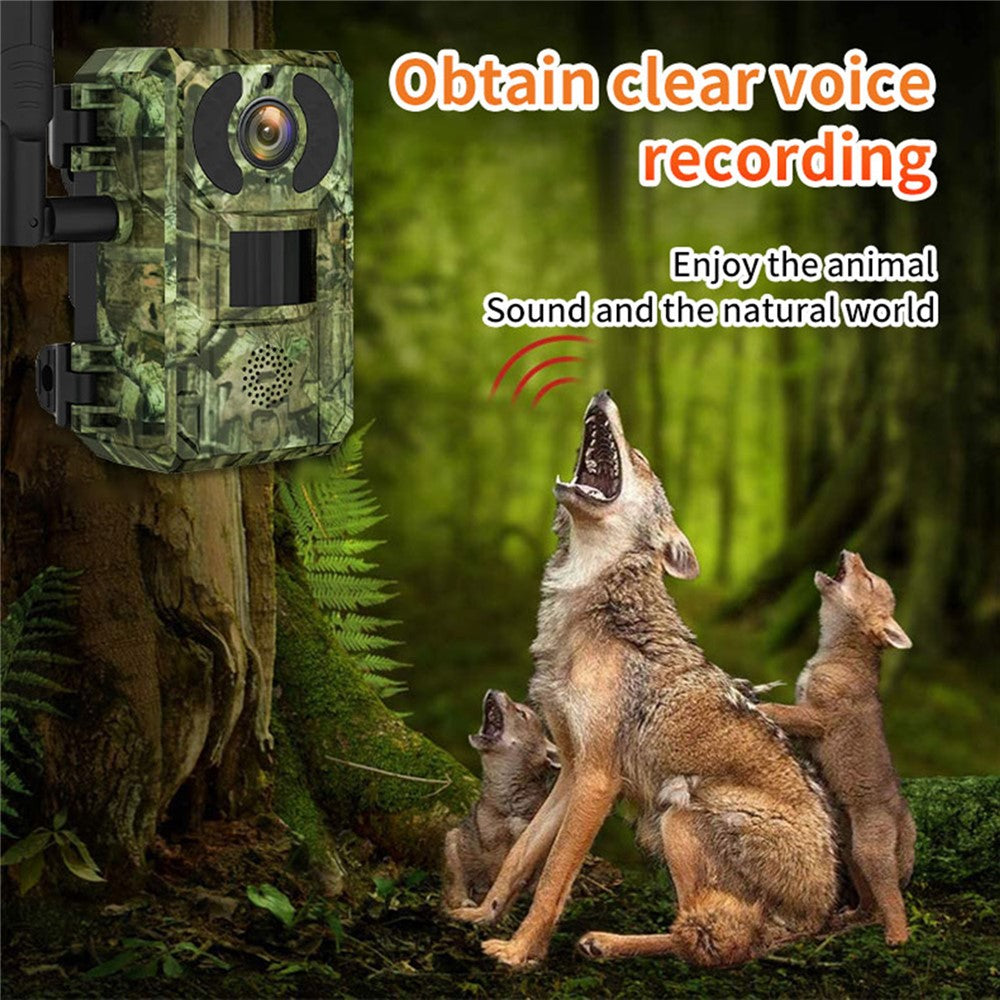 H10 4MP Solar Panel PIR Motion Detection Hunting Trail Camera 4G / EU Version