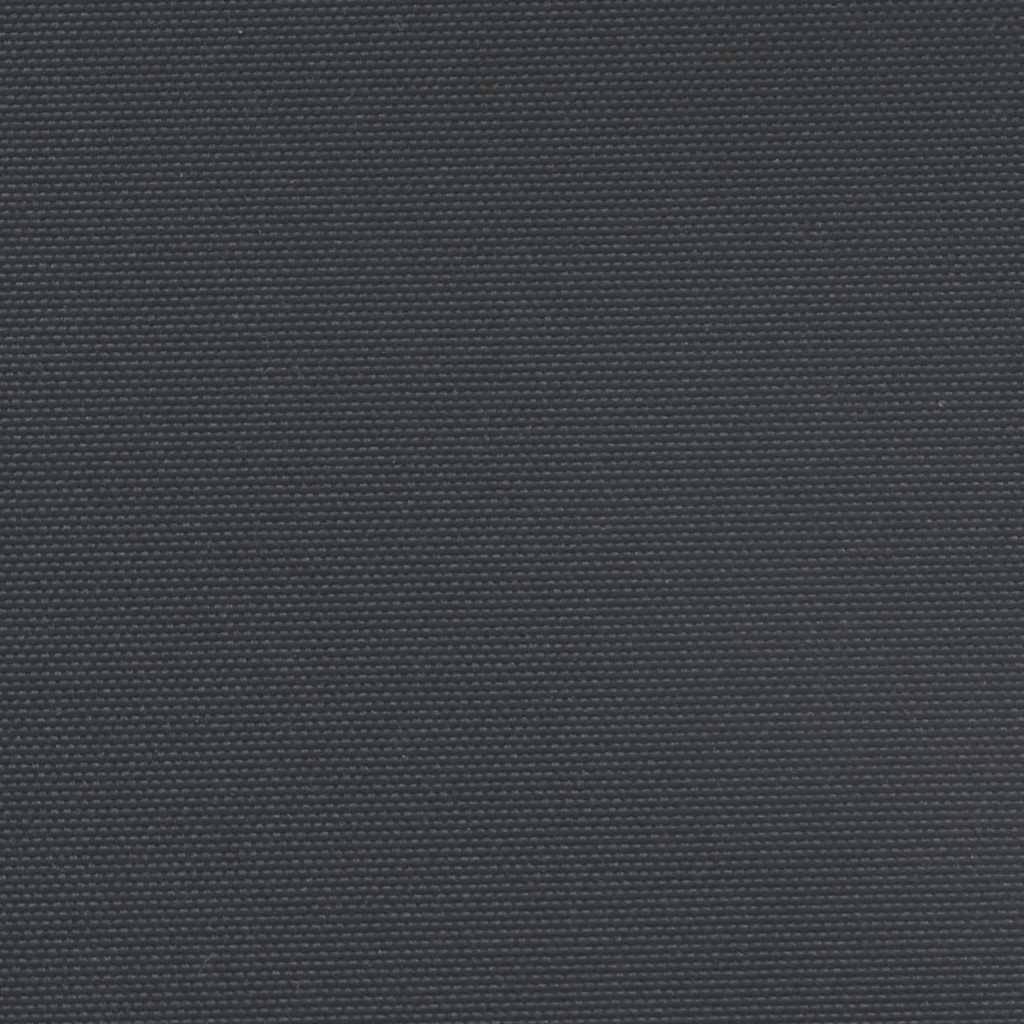 Seitenmarkise Ausziehbar Schwarz