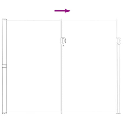 Ausziehbares Seitenmarkise 300 X 200 Cm Polyester Grau