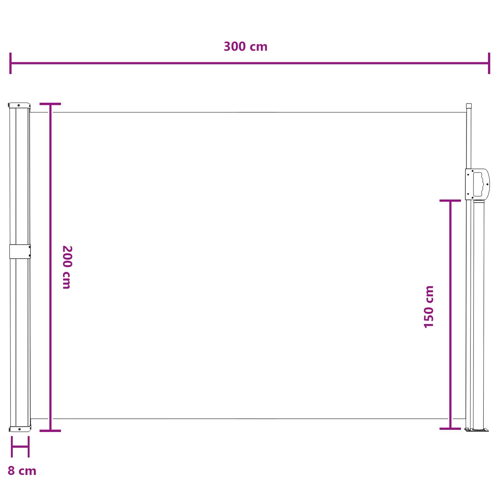 Ausziehbares Seitenmarkise 300 X 200 Cm Polyester Grau